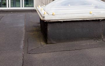 disadvantages of South Street flat roofs