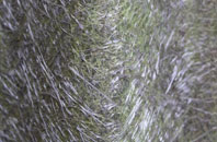 South Street fibreglass roof work